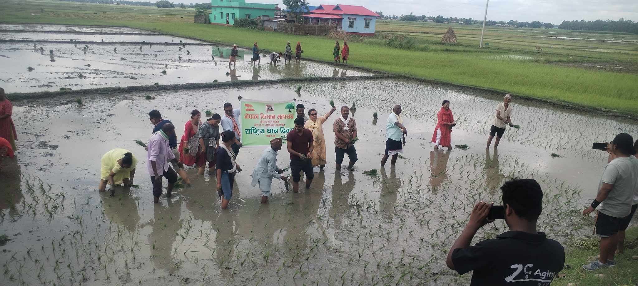 मोरङको दर्वेसामा धुमधामसंग मनाईयो राष्ट्रिय धान दिवस